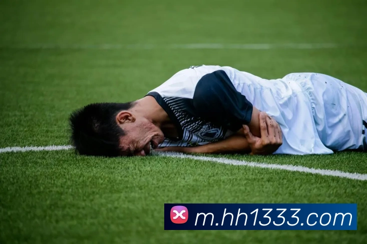 火狐体育官网首页服务体系